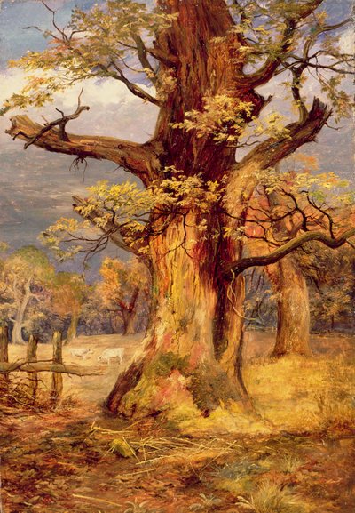 Blasted Oak, Galloway by James Jnr Faed